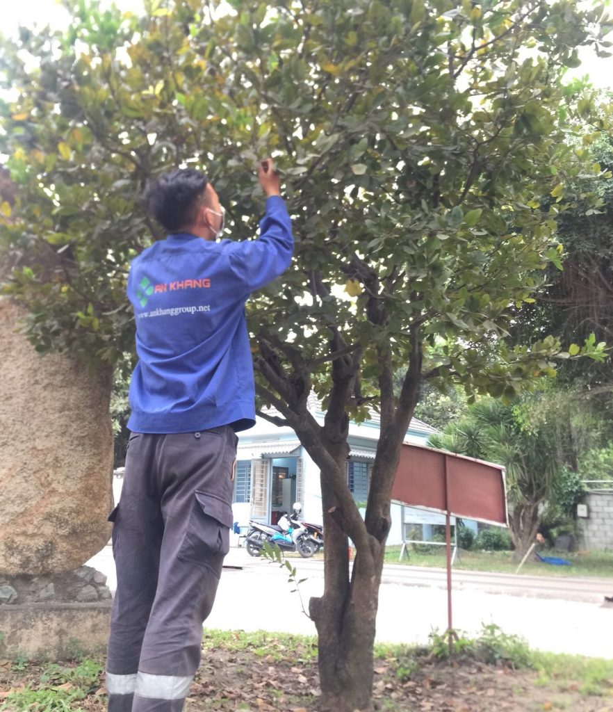 DỊCH VỤ BÌNH DƯƠNG