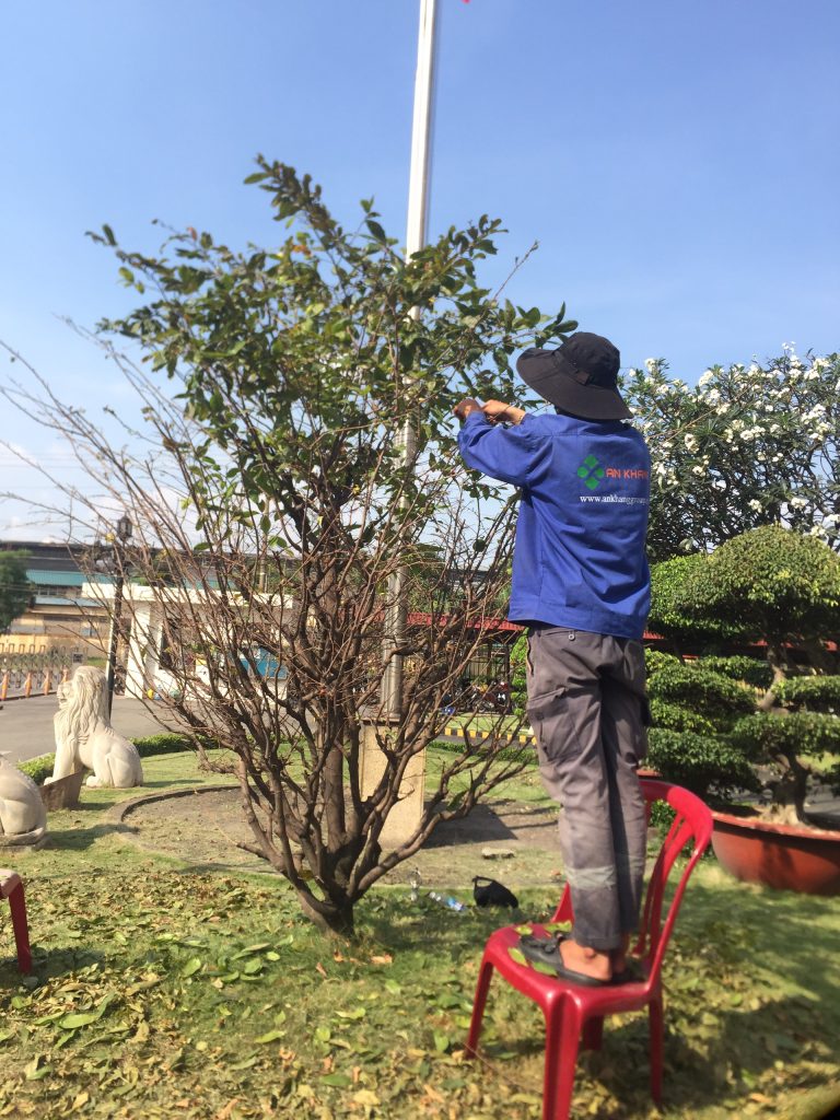 DỊCH VỤ BÌNH DƯƠNG